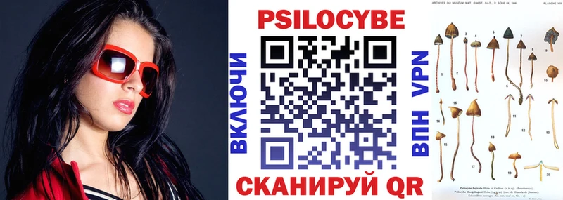 Галлюциногенные грибы GOLDEN TEACHER  Купить закладки  Ардатов 